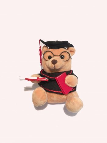 Graduation gift Small bear