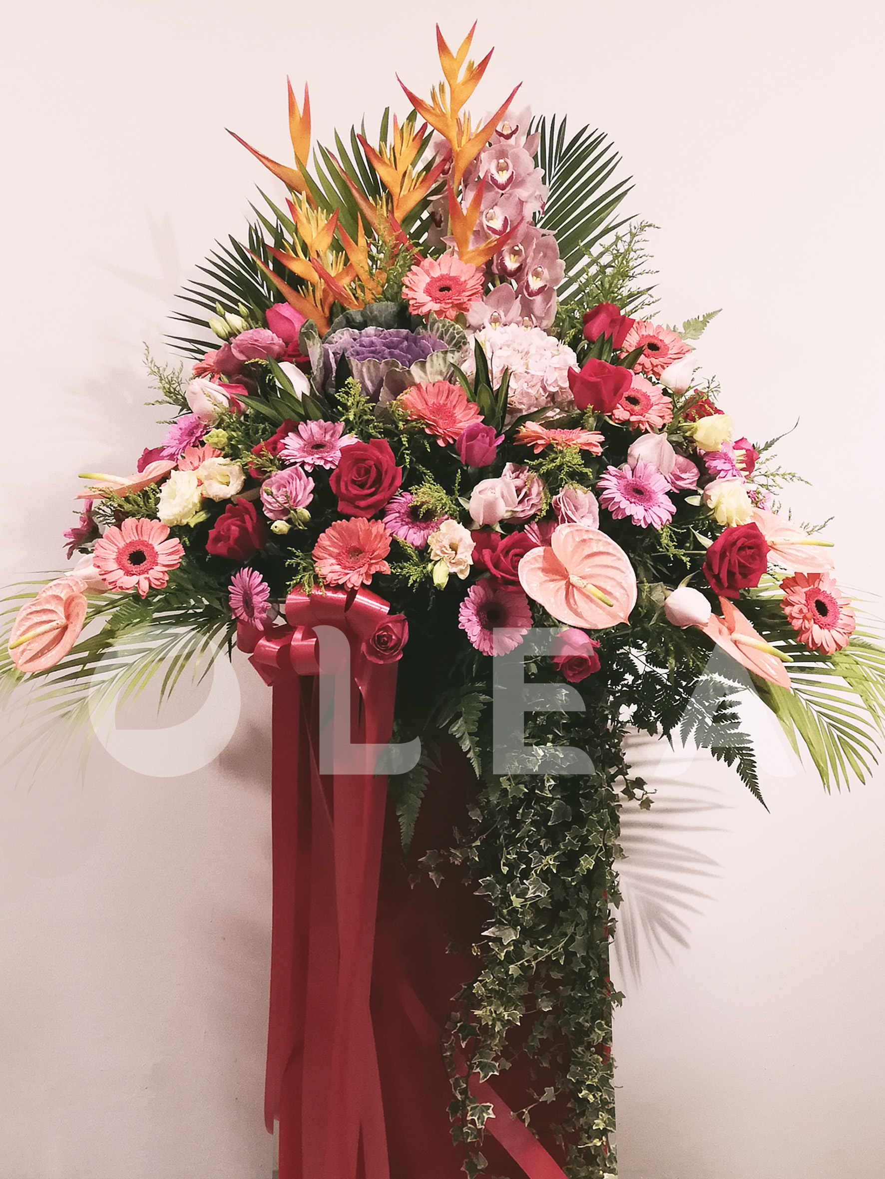 Opening Flowers in KL Olea Florist Free Delivery within KL/PJ