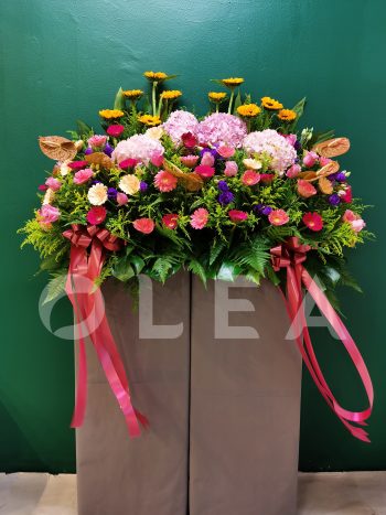 Opening Flower Delivery Kuala Lumpur/Petaling Jaya