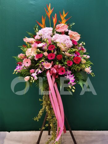 Opening Flower Delivery Kuala Lumpur/Petaling Jaya