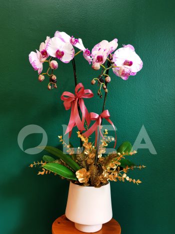 Orchid Flower arrangement in KL/PJ