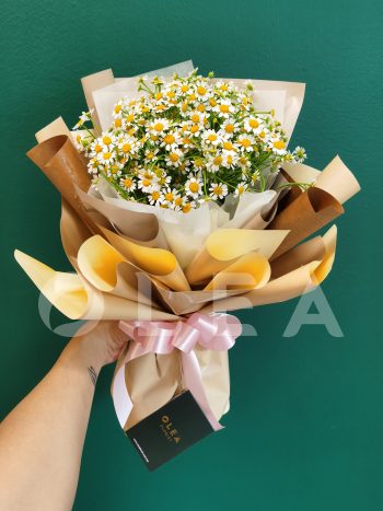 Chamomile flower bouquet delivery KL/PJ